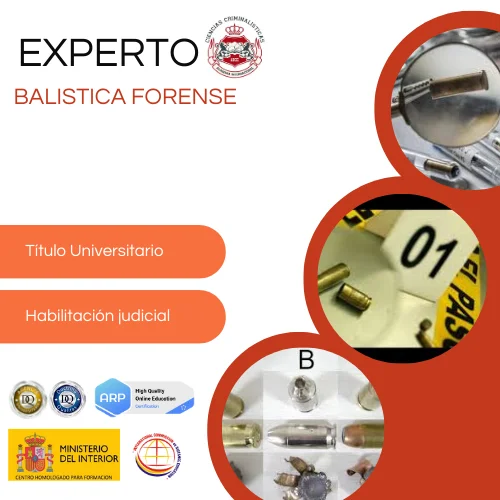 EXPERTO BALÍSTICA FORENSE PERITO JUDICIAL