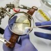 Estudios forenses en España dónde estudiar criminalística en España