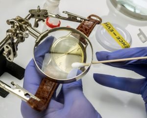 Lee más sobre el artículo Dónde estudiar criminalística en España: Guía completa y actualizada