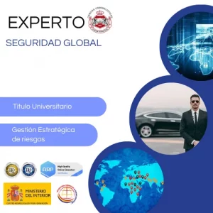 EXPERTO CONSULTOR SEGURIDAD GLOBAL