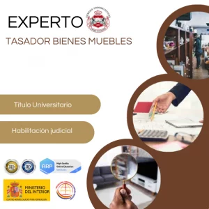 Perito Judicial Tasador Bienes Muebles