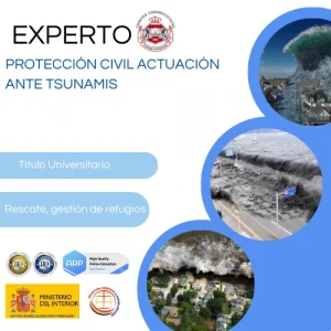 Curso Experto en Protección Civil: Actuación ante Tsunamis