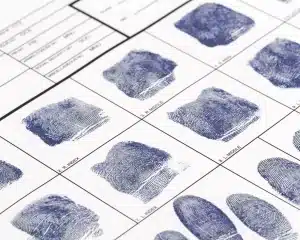 Estudiar criminología online desde casa: fácil, real y con futuro 3 certificación en criminología online