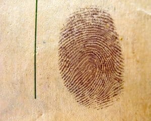 Dónde estudiar criminalística en España: Guía completa y actualizada 2 dónde estudiar criminalística en España