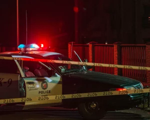 Lee más sobre el artículo Estudiar criminología online desde casa: fácil, real y con futuro