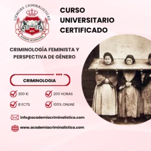 Curso Criminología Feminista Y Perspectiva De Género