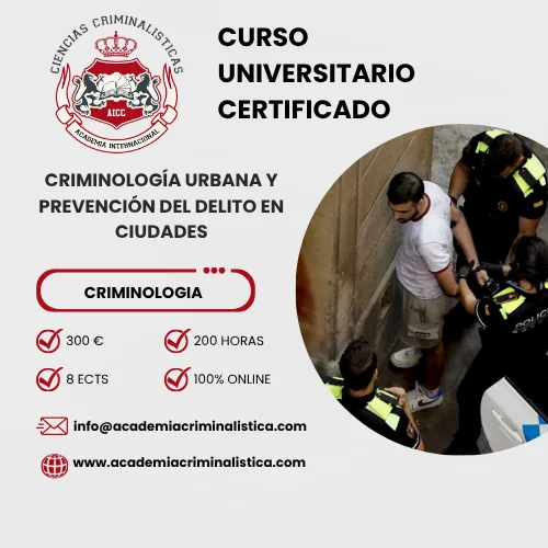Curso Criminología Urbana Y Prevención Del Delito En Ciudades