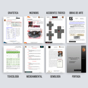 Informes Periciales Judiciales