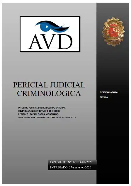 Análisis Criminológico