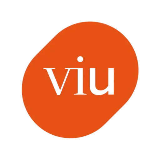 Universidad Internacional de Valencia VIU