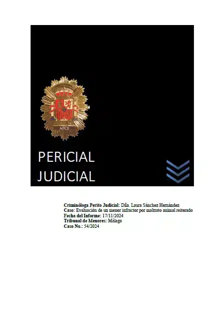 Delincuencia Juvenil