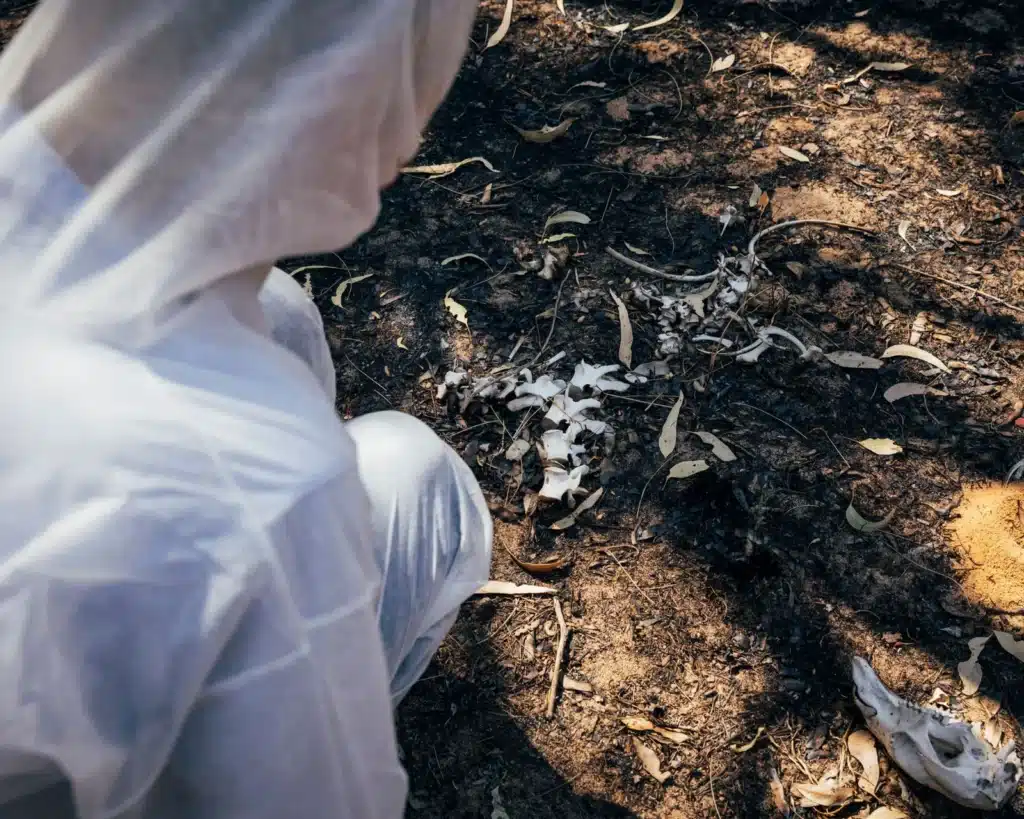 Curso de investigación de incendios: conviértete en especialista en análisis de causas y peritaje forense 3 Academia criminalística Fotos blogs formacion_en_incendios_int