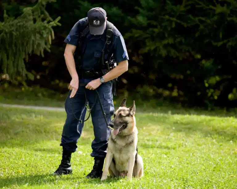 perros entrenados para seguridad