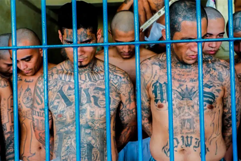 7 tipos de mafias más peligrosas del mundo actual 2 tipos de mafias