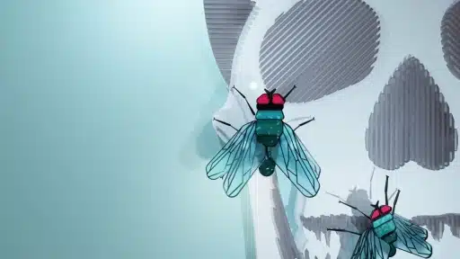 Entomologia Forense Blog