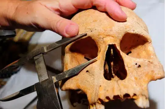 Antropologia Forense Portada Blog