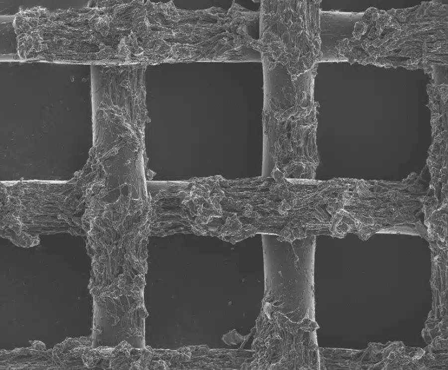 microscopia electronica de barrido 1 microscopia electronica de barrido