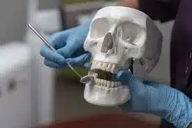 odontologia forense 1 odontologia forense