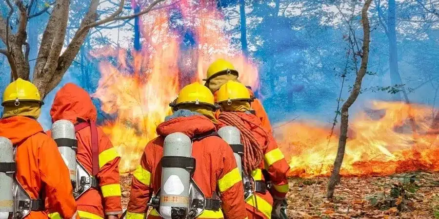 5 pirómanos que engañaron a todos de forma ingeniosa 2 bomberos en incendio bosque